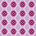 Peaceful and retro pink and white clematis floral seamless pattern with flowery pastel motifs, perfect