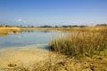 Peaceful River Estuary Royalty Free Stock Photo