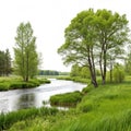 River landscape with trees and grass elements isolated on white background Royalty Free Stock Photo
