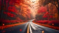 Peaceful Road Through Fiery Autumn Forest Scene Royalty Free Stock Photo