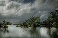 Peaceful and romantic river, swamp forest and cloudy sky Royalty Free Stock Photo