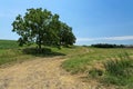 Peaceful Rural Dirt Road