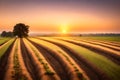 A peaceful rural farmland