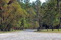 A Peaceful Rural Road in Dare County, North Carolina
