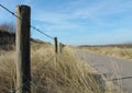 Peaceful rythm in the dunes of Holland Royalty Free Stock Photo