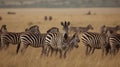 A group of zebras grazing in the grassland created with Generative AI