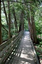 Peaceful scene of long handcrafted walkway through the woods Royalty Free Stock Photo