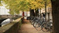 Peaceful scene of many bicycles parked sideways along the canal with colorful autumn tree in Bruges Brugge, Belgium Royalty Free Stock Photo