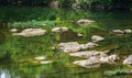 Peaceful Scene on the Roanoke River