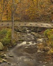 peaceful scene of water flowing under footbridge