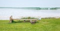 Peaceful scene of wooden bench for lying your back on the grass garden facing sandy beach with pigeon and seagull bird nearby. Royalty Free Stock Photo