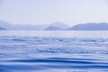 Peaceful seascape. Beautiful blue sky over calm sea with sunlight reflection. Waves. Tranquil harmony.