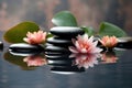 Spa still life with water lily and zen stone in a serenity pool Royalty Free Stock Photo