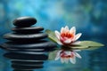 Spa still life with water lily and zen stone in a serenity pool Royalty Free Stock Photo