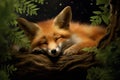 Peaceful Sleeping wild fox. Generate Ai Royalty Free Stock Photo