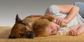 Peaceful slumber with gentle dog Royalty Free Stock Photo