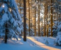 winter with soft falling snow and a gradient sky Royalty Free Stock Photo