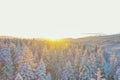 Peaceful snowy forest with sunrise over the mountains as background