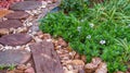 Peaceful spot to relax in the garden Royalty Free Stock Photo