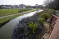 A parkland lake channel connecting two lakes in springtime Royalty Free Stock Photo