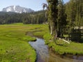 Peaceful stream in Lassen National Park Royalty Free Stock Photo