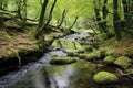 peaceful stream meandering through a deserted area