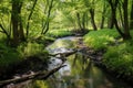 peaceful stream meandering through a deserted area