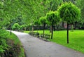 Peaceful summer park with a sidewalk