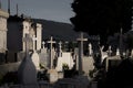 Peaceful sunlight over the stone crosses of the Dark Cemetery in Braga. Royalty Free Stock Photo