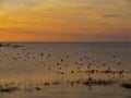 Lake Okeechobee Sunset near Loxahatchee, Florida