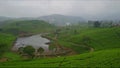 Peaceful tea plantation on the hill with scenic point green