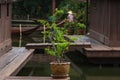 Peaceful thai floating architecture with traditional wooden house and bridge in Ancient City