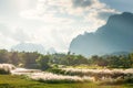 Peaceful time, evening summer landscape. Wild cane or grass flow