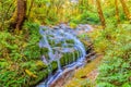 Peaceful tropical forest with small tranquil waterfall at Kiew M Royalty Free Stock Photo