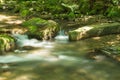 Peaceful Trout Stream in the Jefferson National Forest