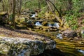 Peaceful Trout Stream on Little North Mountain