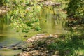 Peaceful Trout Stream