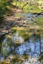 Peaceful Trout Stream