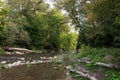 Peaceful trout stream with tree lined banks