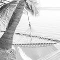 Peaceful Vacation Hammock Black and White Royalty Free Stock Photo