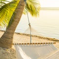 Peaceful Vacation Hammock Royalty Free Stock Photo