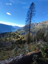 Peaceful valley in scenic rocky mountains Royalty Free Stock Photo