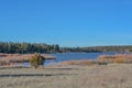 Peaceful view of Fool Hollow Lake in Show Low, Navajo County, Apache Sitgreaves National Forest, Arizona USA Royalty Free Stock Photo