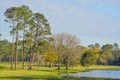 Peaceful view of the lake, green grass and trees of this Golf Course in Georgia Royalty Free Stock Photo