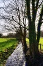 Tree lined stream in Cartmel, Cumbria Royalty Free Stock Photo