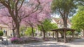 A peaceful village square shaded by ancient trees with benches and flowers