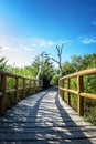 Peaceful Walk Trail Royalty Free Stock Photo