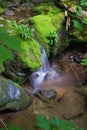 Peaceful Waterfall in the Forest Royalty Free Stock Photo