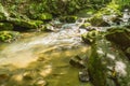 Peaceful Mountain Trout Stream Royalty Free Stock Photo