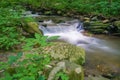 Peaceful Wild Mountain Trout Stream Royalty Free Stock Photo